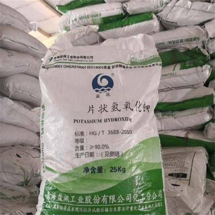 女人的鸡巴免费视频网站